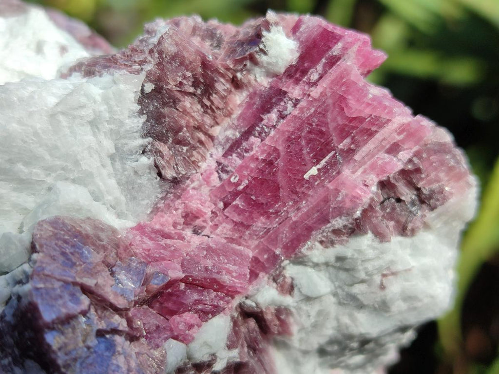Natural Pink Rubellite Tourmaline Specimens x 3 From Karibib, Namibia - Toprock Gemstones and Minerals 