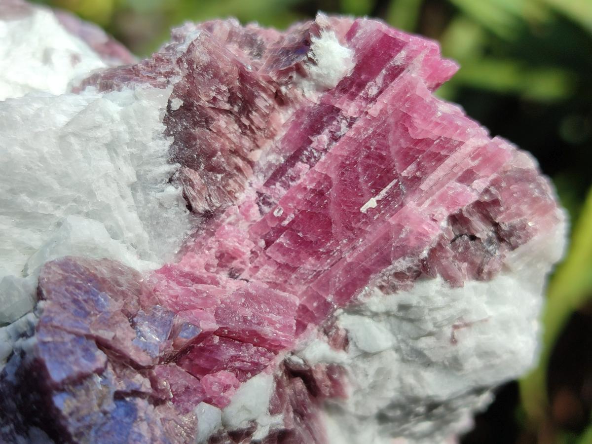 Natural Pink Rubellite Tourmaline Specimens x 3 From Karibib, Namibia - Toprock Gemstones and Minerals 