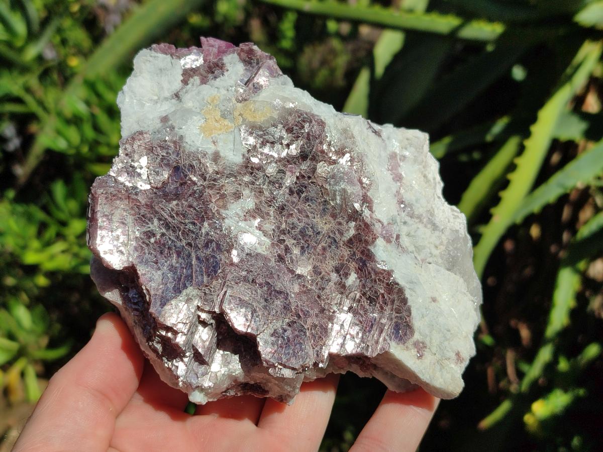 Natural Pink Rubellite Tourmaline Specimens x 3 From Karibib, Namibia - Toprock Gemstones and Minerals 