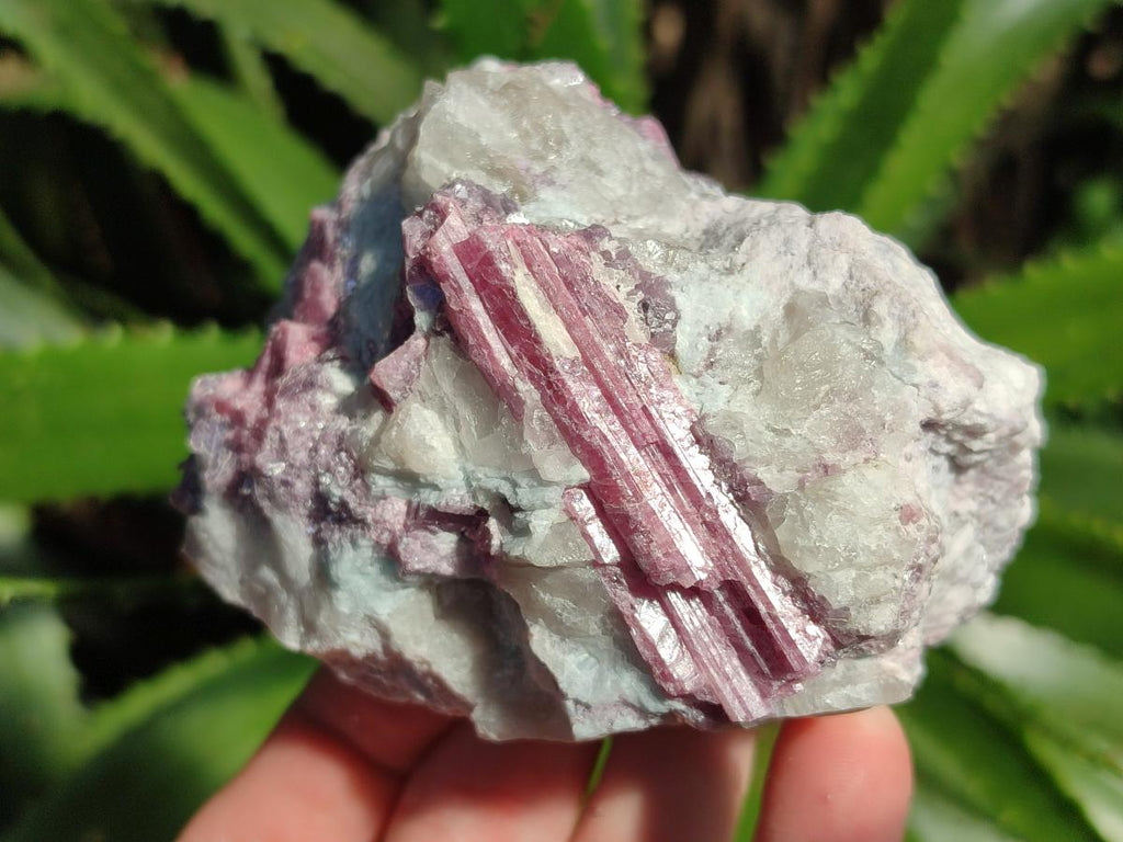Natural Pink Rubellite Tourmaline Specimens x 3 From Karibib, Namibia - Toprock Gemstones and Minerals 