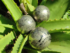 Polished Basalt Pharaoh Stone Spheres x 6 From Iron Duke Mine, Zimbabwe - Toprock Gemstones and Minerals 