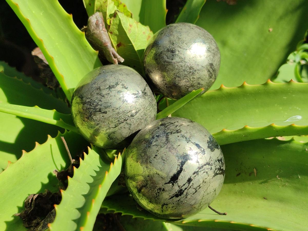 Polished Basalt Pharaoh Stone Spheres x 6 From Iron Duke Mine, Zimbabwe - Toprock Gemstones and Minerals 