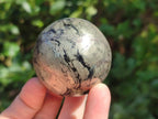 Polished Basalt Pharaoh Stone Spheres x 6 From Iron Duke Mine, Zimbabwe - Toprock Gemstones and Minerals 