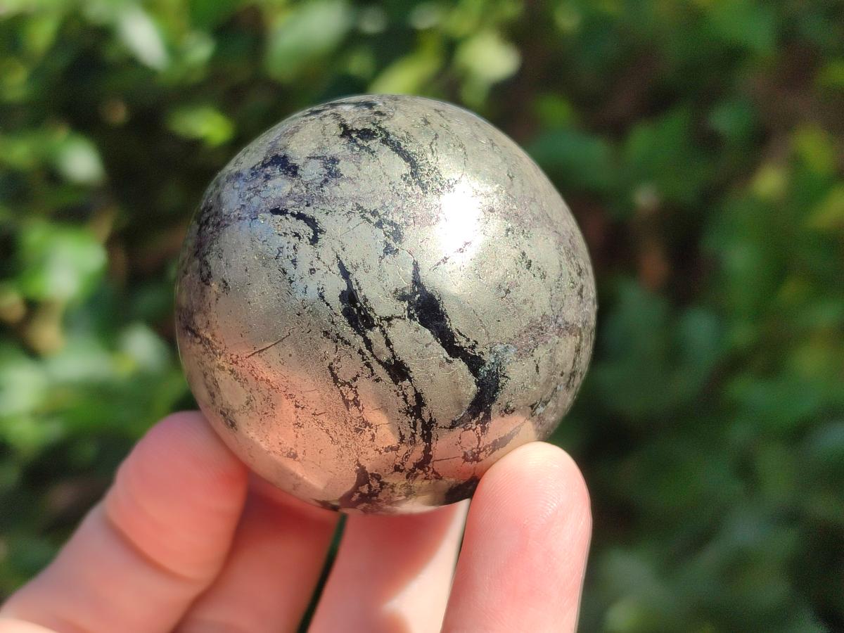 Polished Basalt Pharaoh Stone Spheres x 6 From Iron Duke Mine, Zimbabwe - Toprock Gemstones and Minerals 