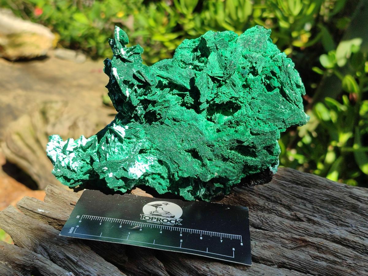 Natural Rare Malachite Pseudomorph Specimens x 2 From Kolwezi, Congo - Toprock Gemstones and Minerals 