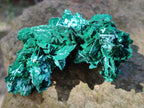 Natural Rare Malachite Pseudomorph Specimens x 2 From Kolwezi, Congo - Toprock Gemstones and Minerals 