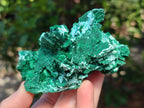 Natural Rare Malachite Pseudomorph Specimens x 2 From Kolwezi, Congo - Toprock Gemstones and Minerals 