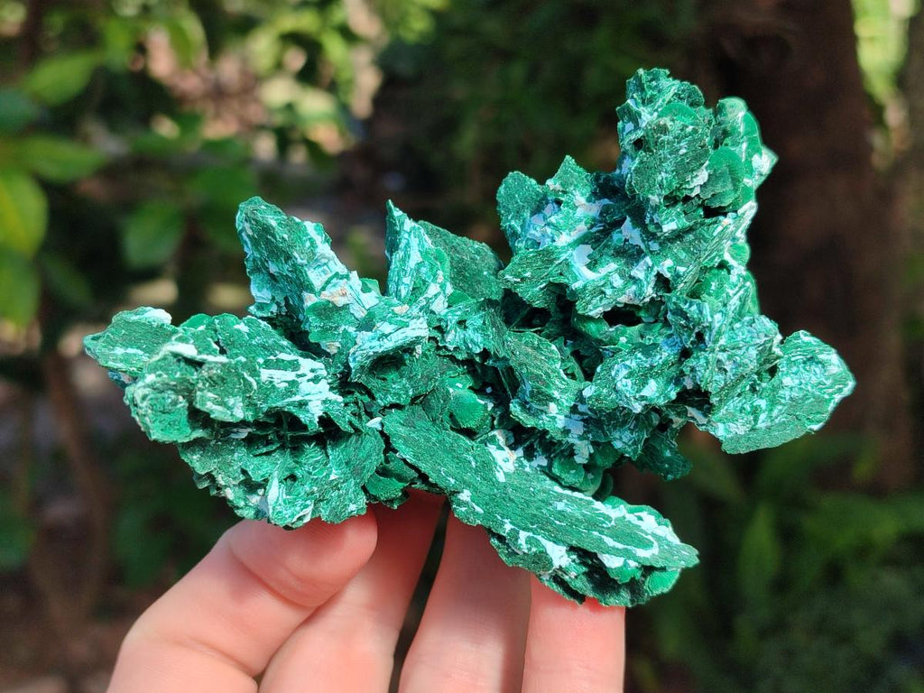 Natural Rare Malachite Pseudomorph Specimens x 2 From Kolwezi, Congo - Toprock Gemstones and Minerals 