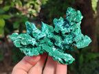 Natural Rare Malachite Pseudomorph Specimens x 2 From Kolwezi, Congo - Toprock Gemstones and Minerals 