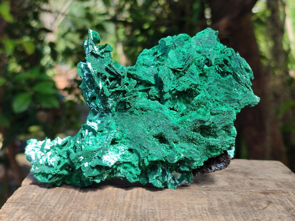 Natural Rare Malachite Pseudomorph Specimens x 2 From Kolwezi, Congo - Toprock Gemstones and Minerals 
