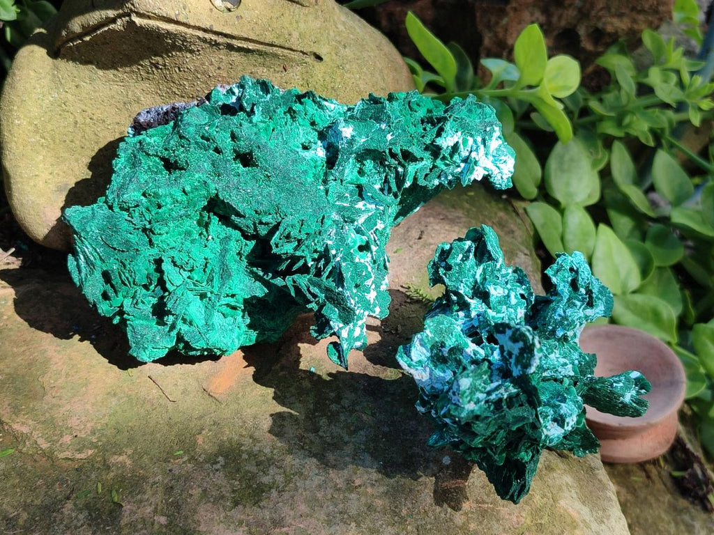 Natural Rare Malachite Pseudomorph Specimens x 2 From Kolwezi, Congo - Toprock Gemstones and Minerals 