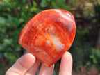 Polished Carnelian Agate Gemstone Standing Free Forms x 6 From Madagascar - Toprock Gemstones and Minerals 
