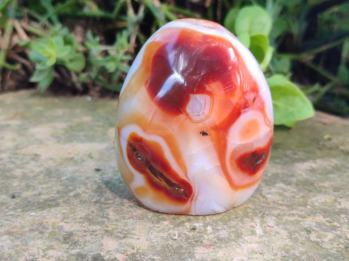 Polished Carnelian Agate Gemstone Standing Free Forms x 6 From Madagascar - Toprock Gemstones and Minerals 