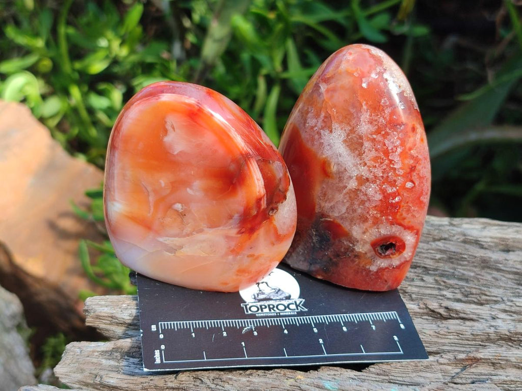 Polished Carnelian Agate Gemstone Standing Free Forms x 6 From Madagascar - Toprock Gemstones and Minerals 
