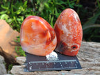 Polished Carnelian Agate Gemstone Standing Free Forms x 6 From Madagascar - Toprock Gemstones and Minerals 