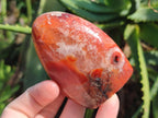 Polished Carnelian Agate Gemstone Standing Free Forms x 6 From Madagascar - Toprock Gemstones and Minerals 