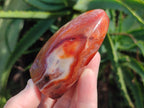 Polished Carnelian Agate Gemstone Standing Free Forms x 6 From Madagascar - Toprock Gemstones and Minerals 
