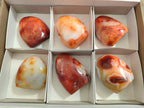 Polished Carnelian Agate Gemstone Standing Free Forms x 6 From Madagascar - Toprock Gemstones and Minerals 
