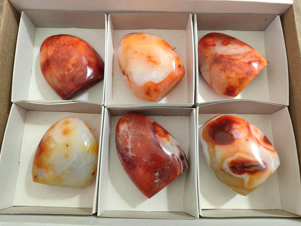 Polished Carnelian Agate Gemstone Standing Free Forms x 6 From Madagascar - Toprock Gemstones and Minerals 
