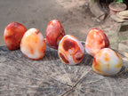 Polished Carnelian Agate Gemstone Standing Free Forms x 6 From Madagascar - Toprock Gemstones and Minerals 