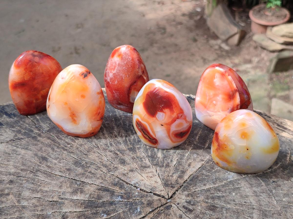 Polished Carnelian Agate Gemstone Standing Free Forms x 6 From Madagascar - Toprock Gemstones and Minerals 