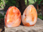 Polished Carnelian Agate Gemstone Standing Free Forms x 6 From Madagascar - Toprock Gemstones and Minerals 