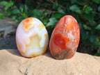 Polished Carnelian Agate Gemstone Standing Free Forms x 6 From Madagascar - Toprock Gemstones and Minerals 