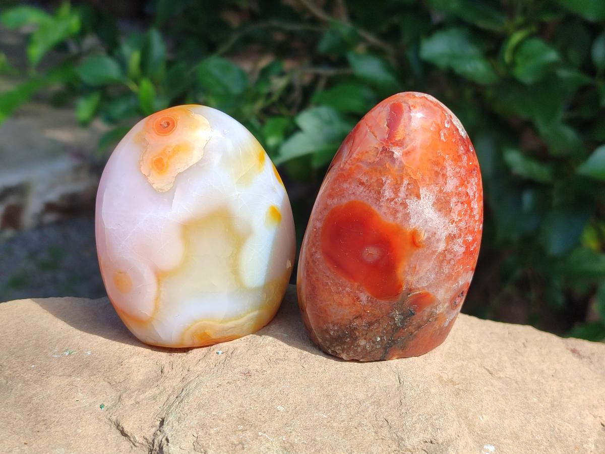 Polished Carnelian Agate Gemstone Standing Free Forms x 6 From Madagascar - Toprock Gemstones and Minerals 