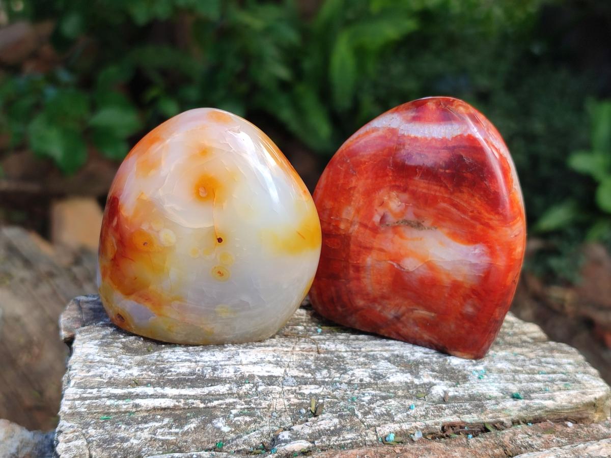 Polished Carnelian Agate Gemstone Standing Free Forms x 6 From Madagascar - Toprock Gemstones and Minerals 