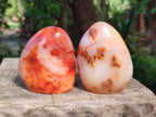 Polished Carnelian Agate Gemstone Standing Free Forms x 6 From Madagascar - Toprock Gemstones and Minerals 