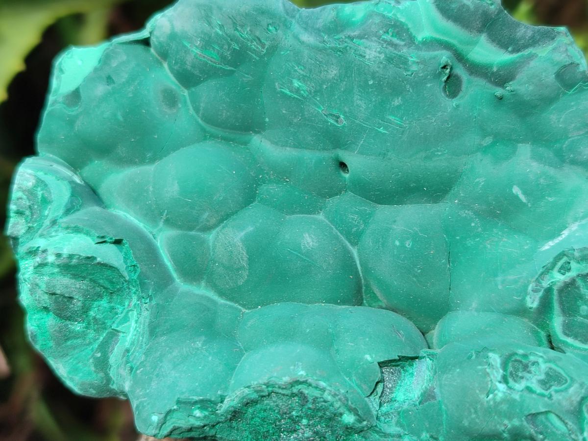 Natural Botryoidal Malachite Specimens x 2 From Congo - Toprock Gemstones and Minerals 