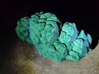 Natural Botryoidal Malachite Specimens x 2 From Congo - Toprock Gemstones and Minerals 