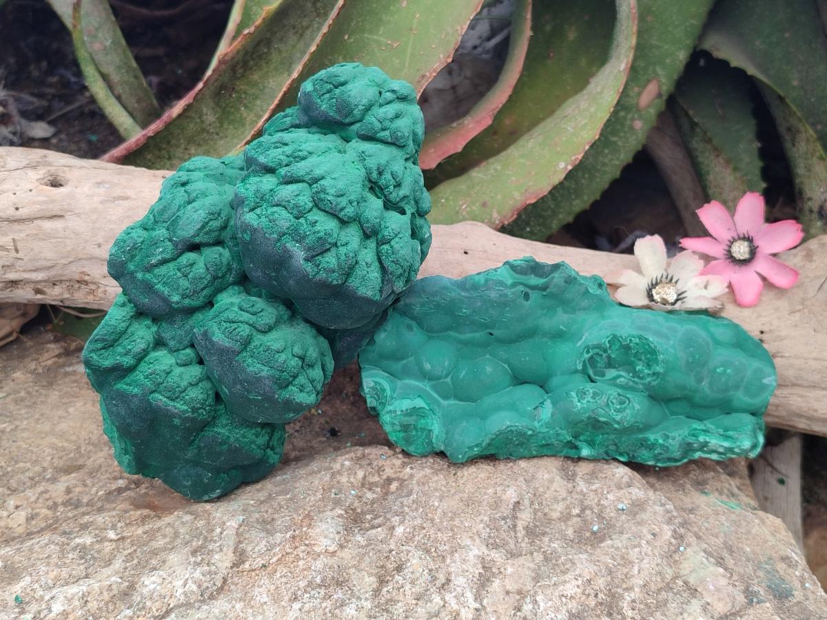 Natural Botryoidal Malachite Specimens x 2 From Congo - Toprock Gemstones and Minerals 
