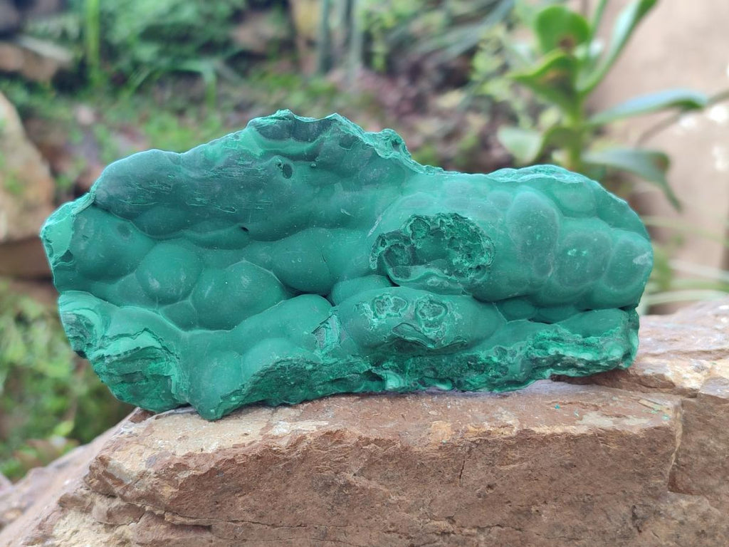 Natural Botryoidal Malachite Specimens x 2 From Congo - Toprock Gemstones and Minerals 