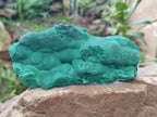 Natural Botryoidal Malachite Specimens x 2 From Congo - Toprock Gemstones and Minerals 