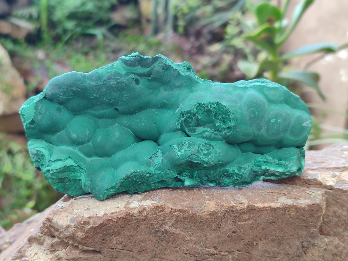 Natural Botryoidal Malachite Specimens x 2 From Congo - Toprock Gemstones and Minerals 