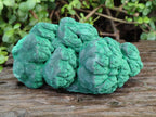 Natural Botryoidal Malachite Specimens x 2 From Congo - Toprock Gemstones and Minerals 