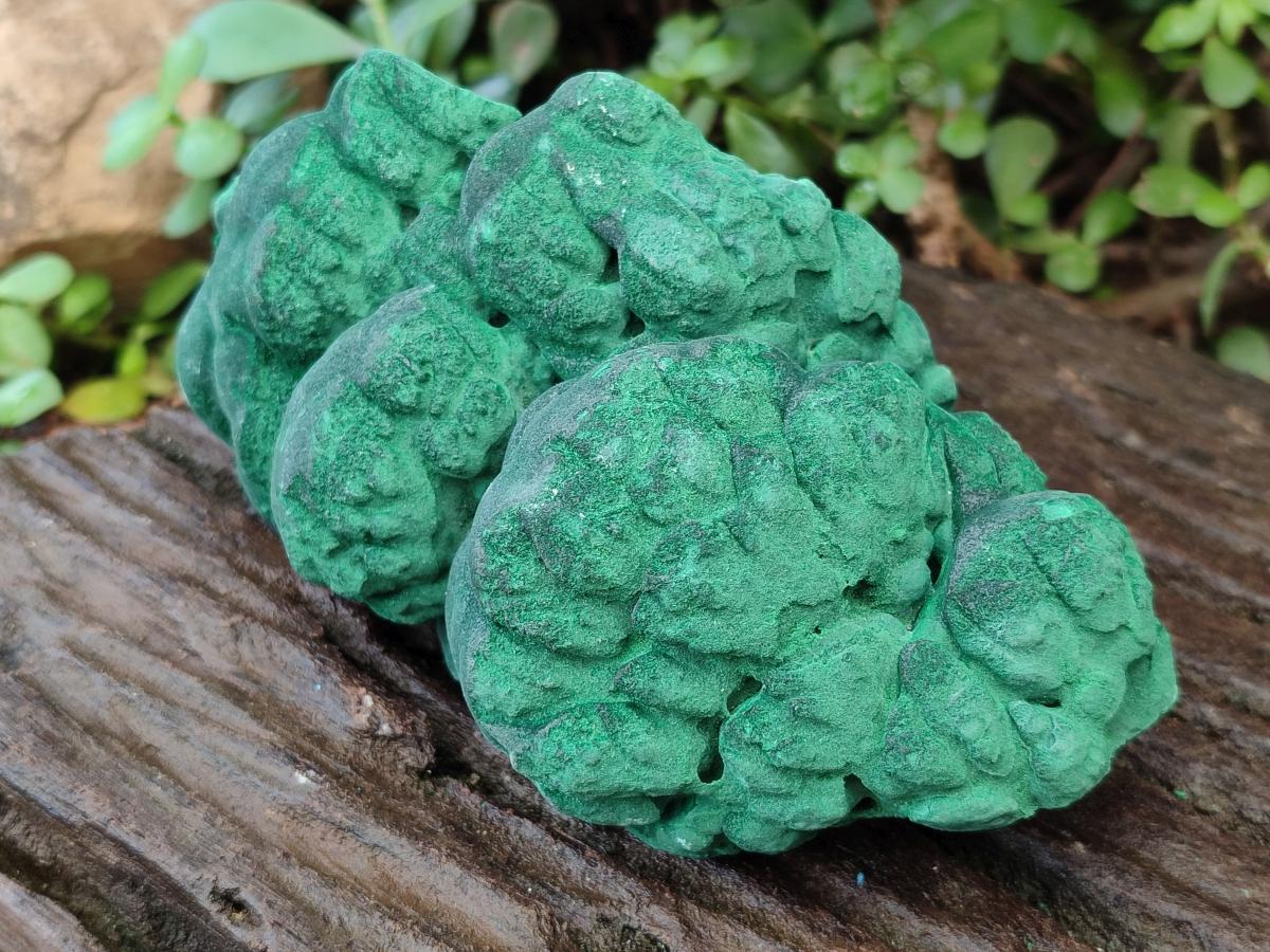 Natural Botryoidal Malachite Specimens x 2 From Congo - Toprock Gemstones and Minerals 