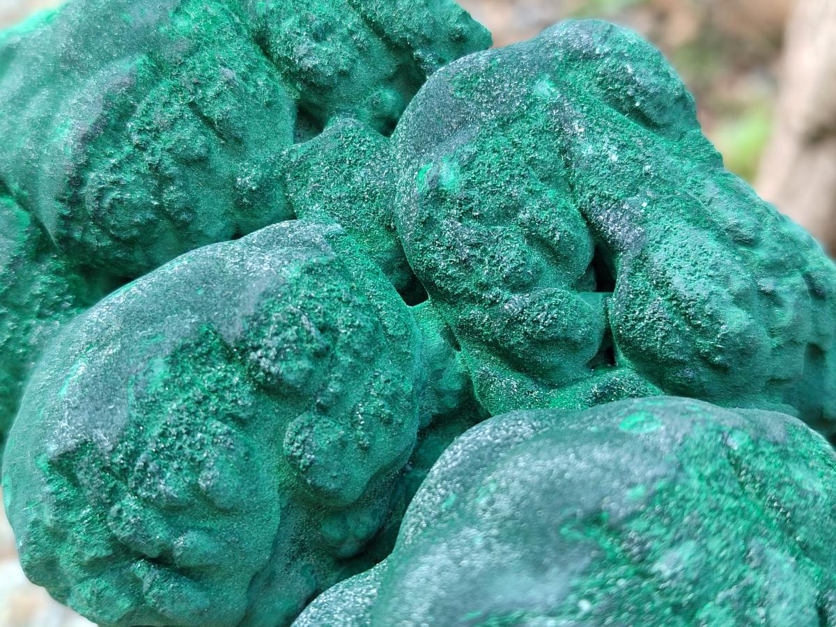 Natural Botryoidal Malachite Specimens x 2 From Congo - Toprock Gemstones and Minerals 