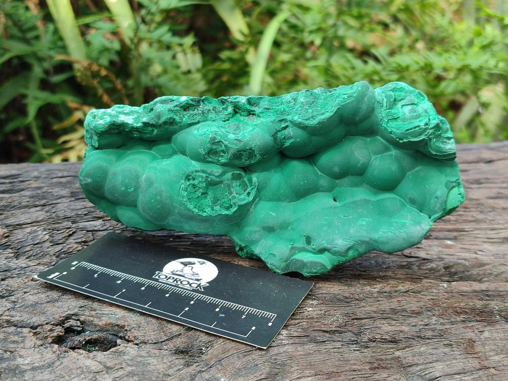 Natural Botryoidal Malachite Specimens x 2 From Congo - Toprock Gemstones and Minerals 