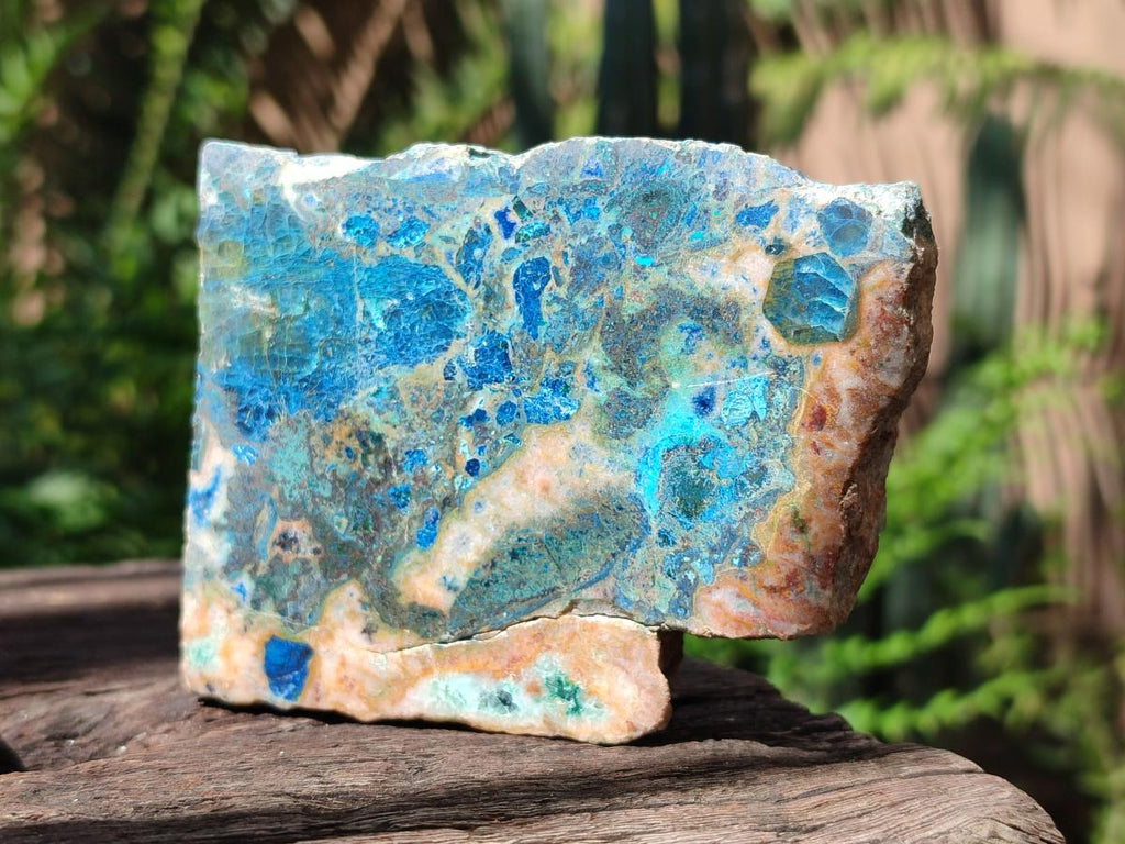 Polished One Side Shattuckite Free Forms x 12 From Kaokoveld, Namibia - Toprock Gemstones and Minerals 