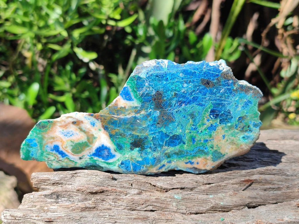 Polished One Side Shattuckite Free Forms x 12 From Kaokoveld, Namibia - Toprock Gemstones and Minerals 