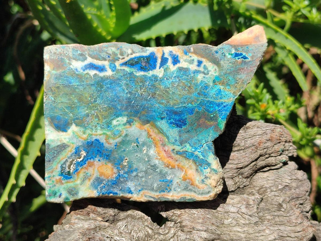 Polished One Side Shattuckite Free Forms x 12 From Kaokoveld, Namibia - Toprock Gemstones and Minerals 
