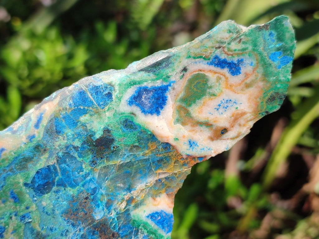 Polished One Side Shattuckite Free Forms x 12 From Kaokoveld, Namibia - Toprock Gemstones and Minerals 