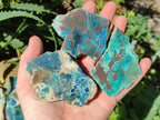 Polished One Side Shattuckite Free Forms x 12 From Kaokoveld, Namibia - Toprock Gemstones and Minerals 
