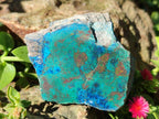 Polished One Side Shattuckite Free Forms x 12 From Kaokoveld, Namibia - Toprock Gemstones and Minerals 