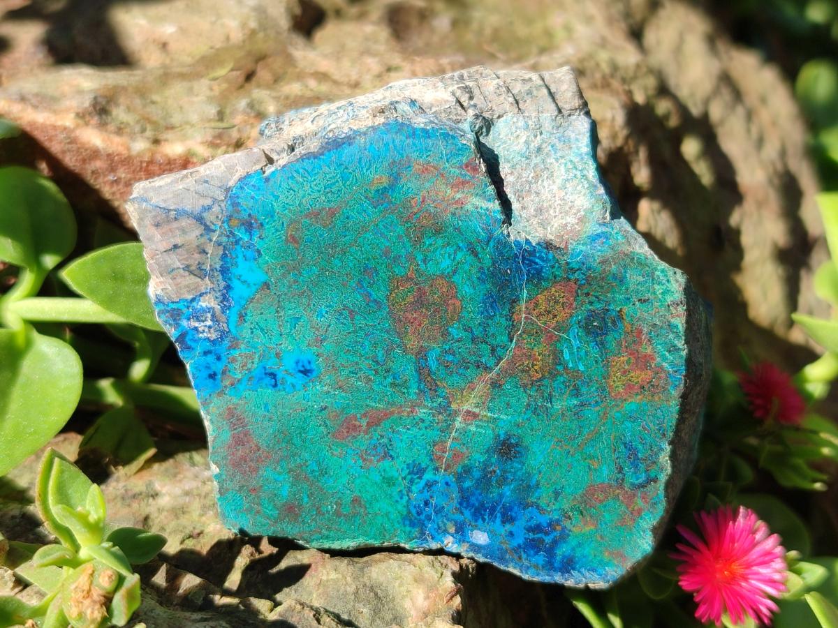 Polished One Side Shattuckite Free Forms x 12 From Kaokoveld, Namibia - Toprock Gemstones and Minerals 
