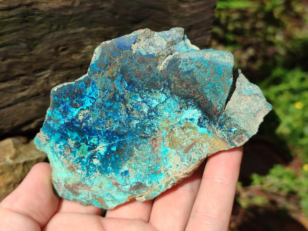 Polished One Side Shattuckite Free Forms x 12 From Kaokoveld, Namibia - Toprock Gemstones and Minerals 