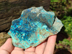 Polished One Side Shattuckite Free Forms x 12 From Kaokoveld, Namibia - Toprock Gemstones and Minerals 