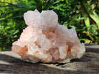 Natural White Cactus Flower Spirit Clusters x 2 From Boekenhouthoek, South Africa - Toprock Gemstones and Minerals 